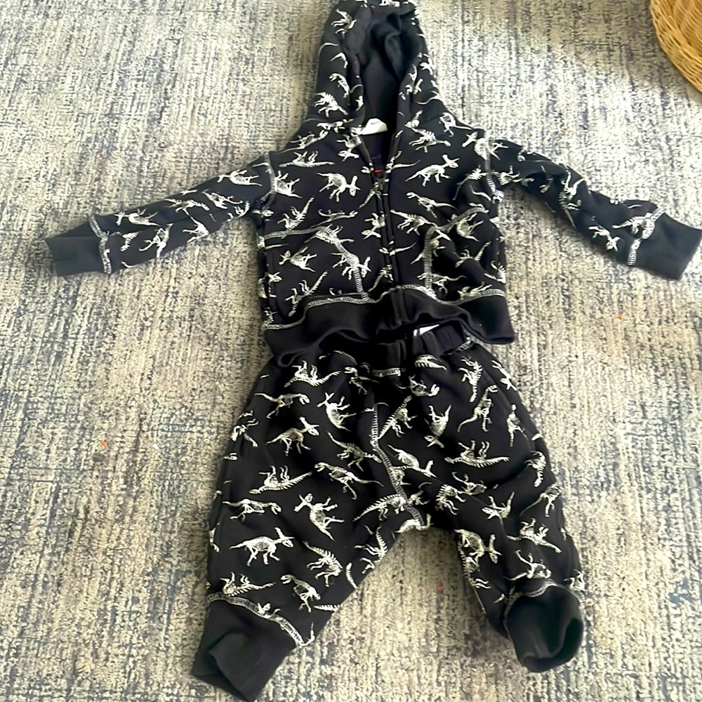 Dinosaur zip up hoodie with matching sweatpants